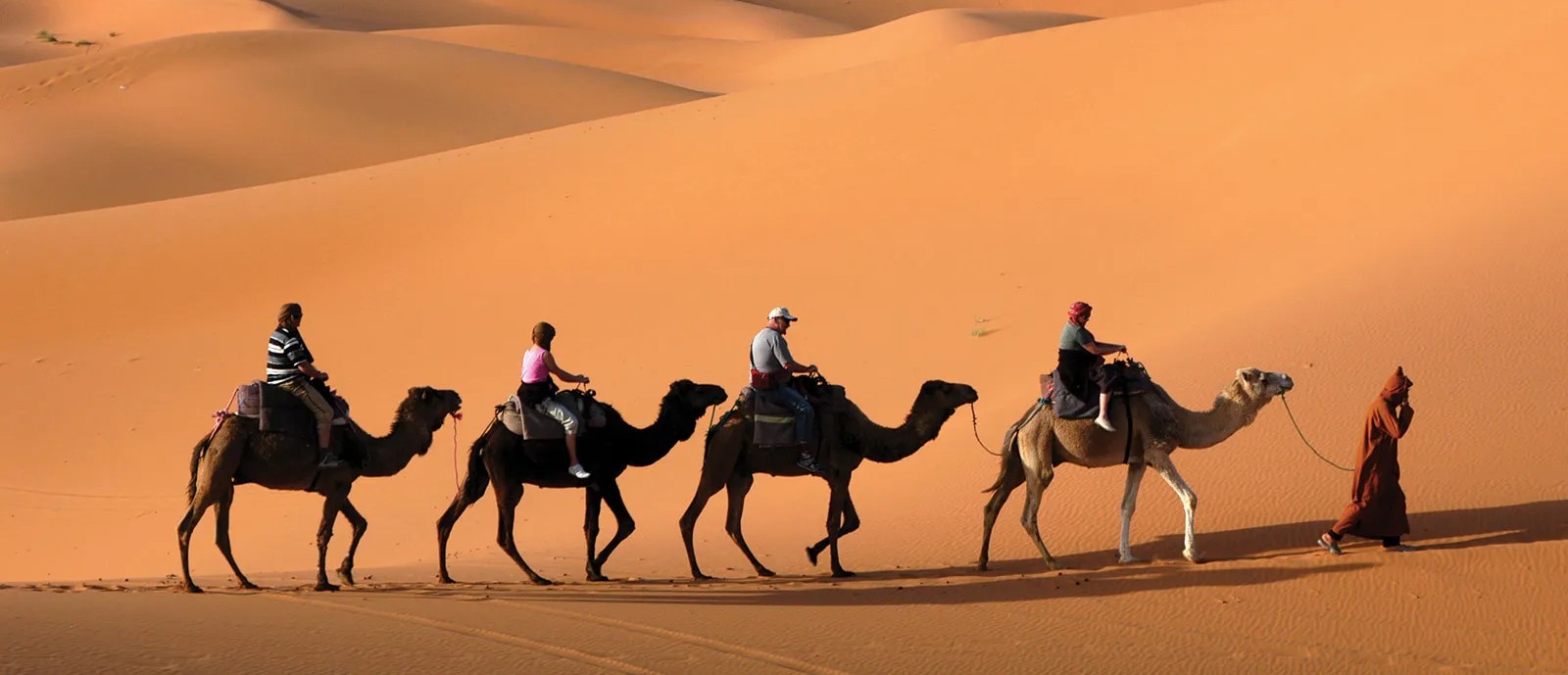 Desert Caravan Site